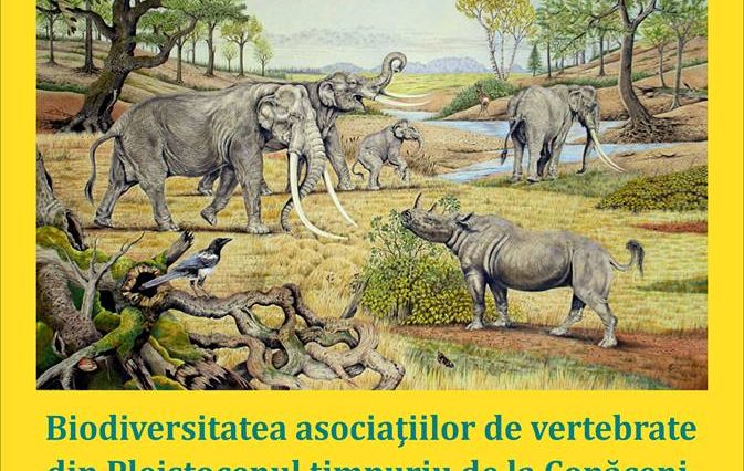 15823284_2011639335729571_7624744301718307180_n