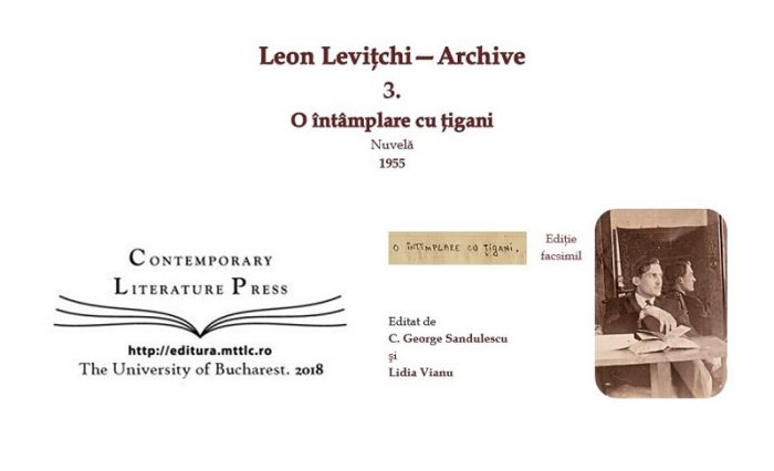 o-intamplare-cu-tigani