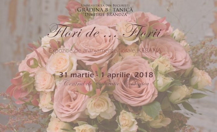 ikebana gradina botanica