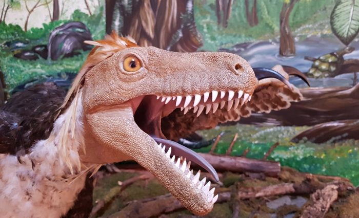 geoparc_dinozauri