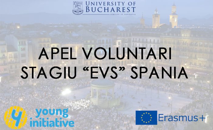 stagiu evs young initiative