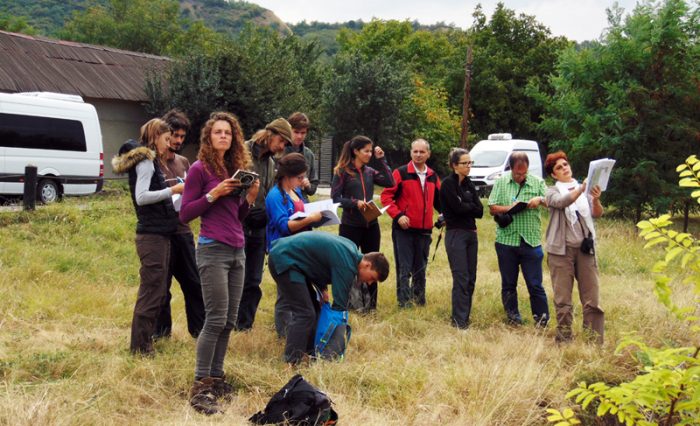 practica studenti elvetia