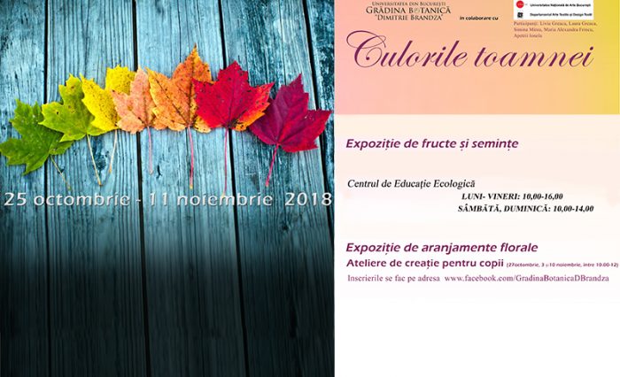 culorile toamnei 2018