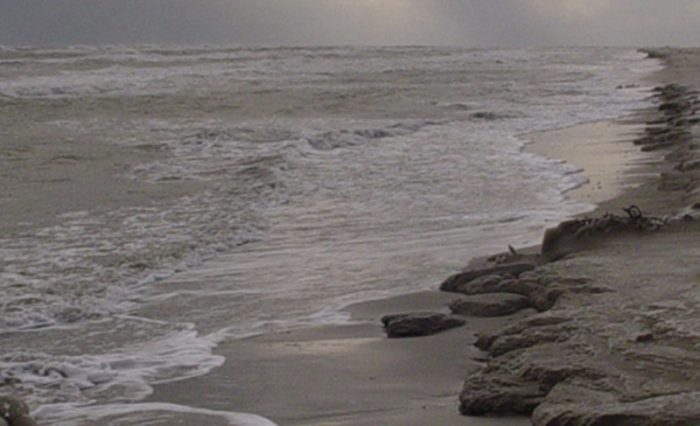 Homepage_slider_SCMF_5