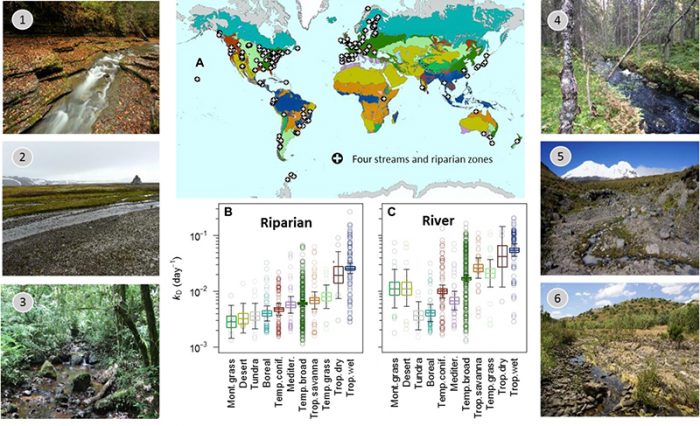 Contribuție-a-Universității-din-București-la-înțelegerea-modelelor-globale-de-ciclare-a-carbonului