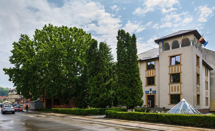 foto-platan-Câmpeni