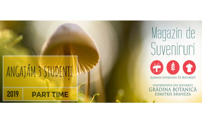 știre-job-Grădina-Botanică