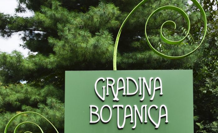 Peste-6.000-de-vizitatori-la-Grădina-Botanică