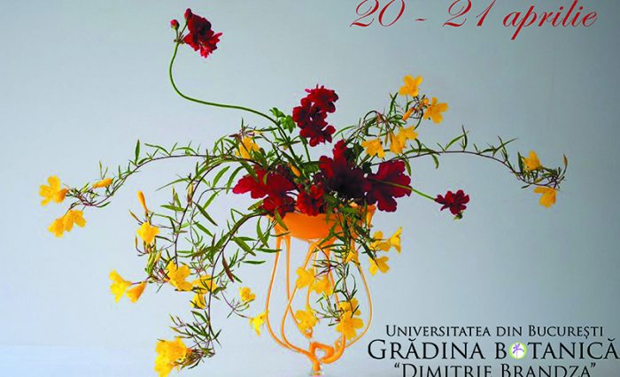 știre-Ikebana-de-Florii