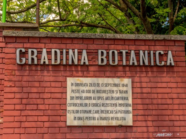 2019.05.22-Gradina-Botanica-192