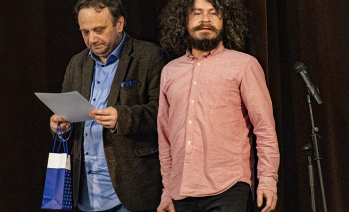 interviu premiile senatului vica