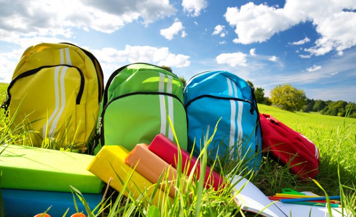 scoala de vara francofona fjsc unibuc ub