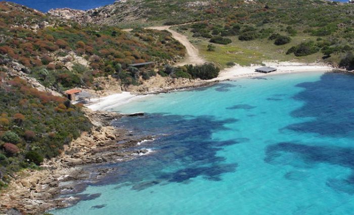 Isola dell’Asinara