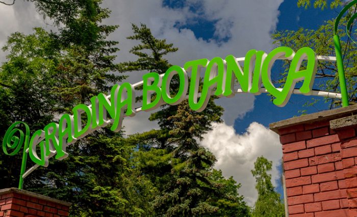 gradina botanica film prezentare unibuc ub