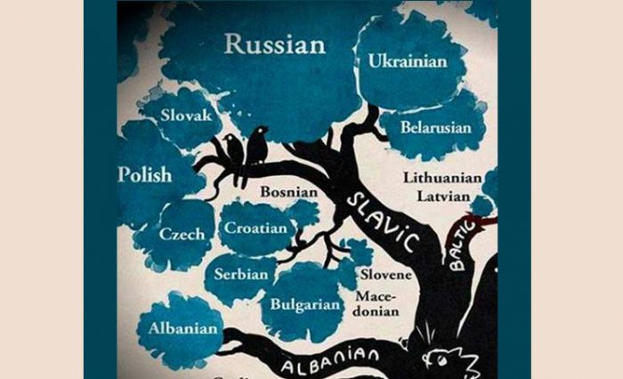 Afiș reprezentare conferința online „Slavistica românească și dialogul culturilor 2020. Provocările timpului”