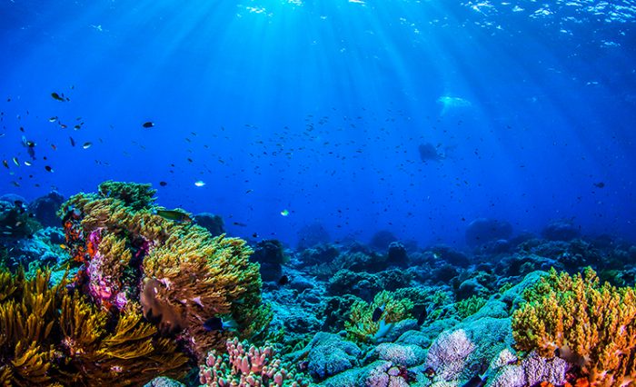 Conferința online „O călătorie spre fundul oceanelor terestre și al sateliților de gheață” la UB