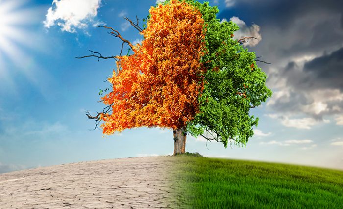 Modificari climatice (12)