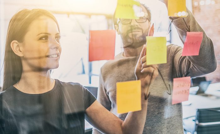 fjsc student antreprenor unibuc ub