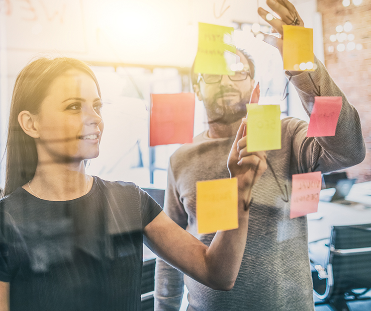 fjsc student antreprenor unibuc ub