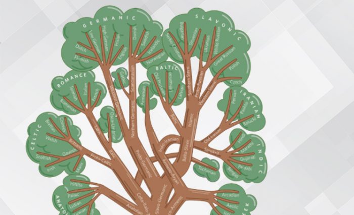 isds unibuc liviu dinu ub