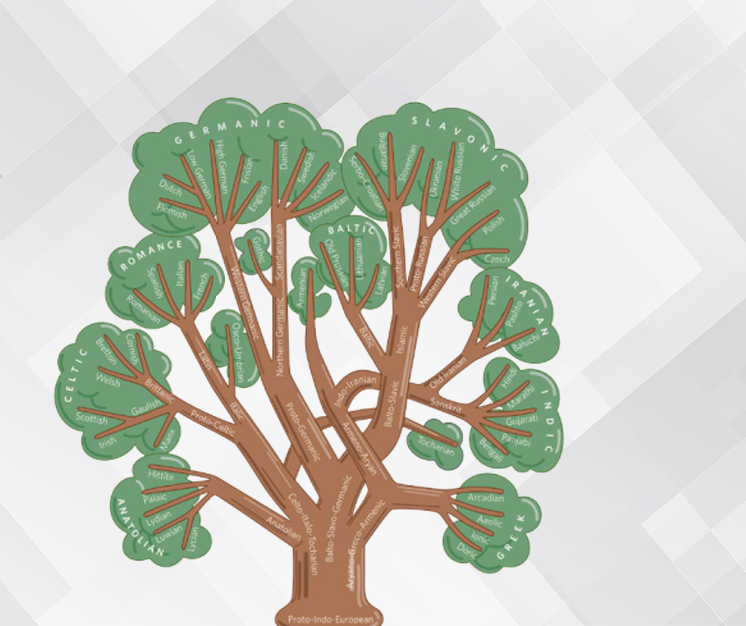 isds unibuc liviu dinu ub