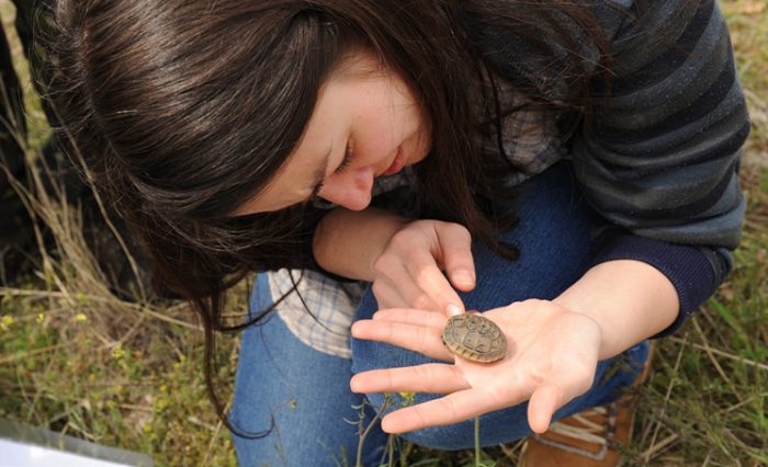 Managementul Speciilor STIRE