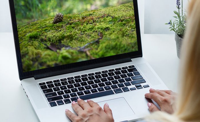 Cups&Cakes 31 mai 2021