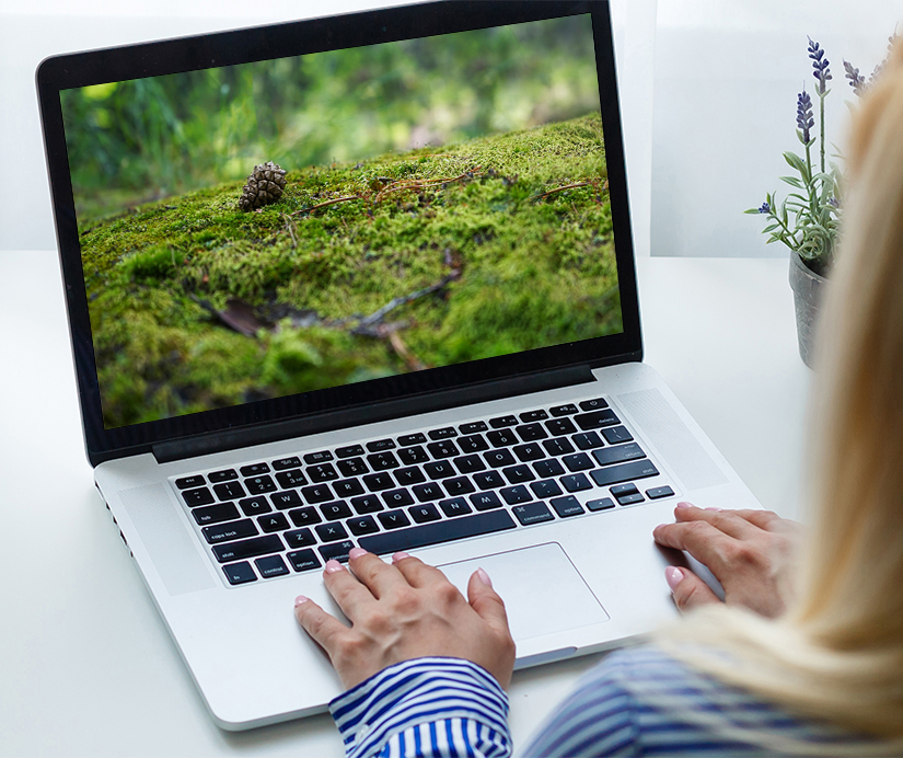 Cups&Cakes 31 mai 2021