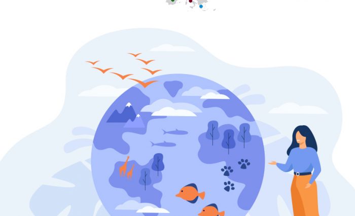 CIVIS_Bucharest_Tubingen-STIRE-OK