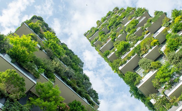 urban ecology 2