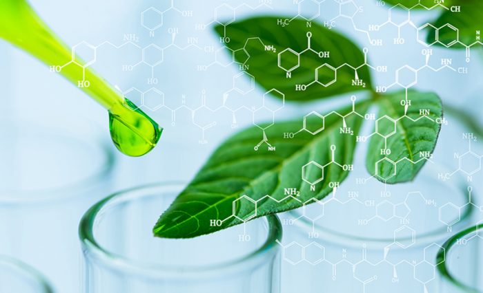 biochemistry civis course unibuc 2
