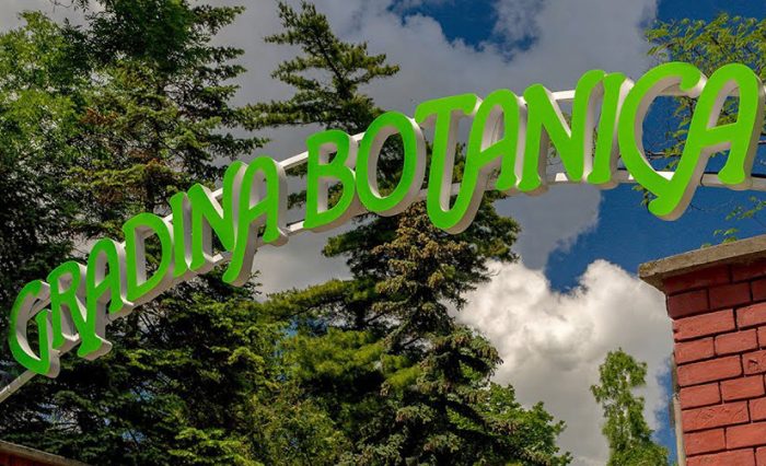gradina botanica master didactic