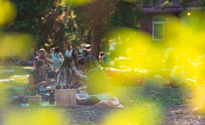 gradina botanica universitatea din bucuresti gradina botanica unibuc ub 2021