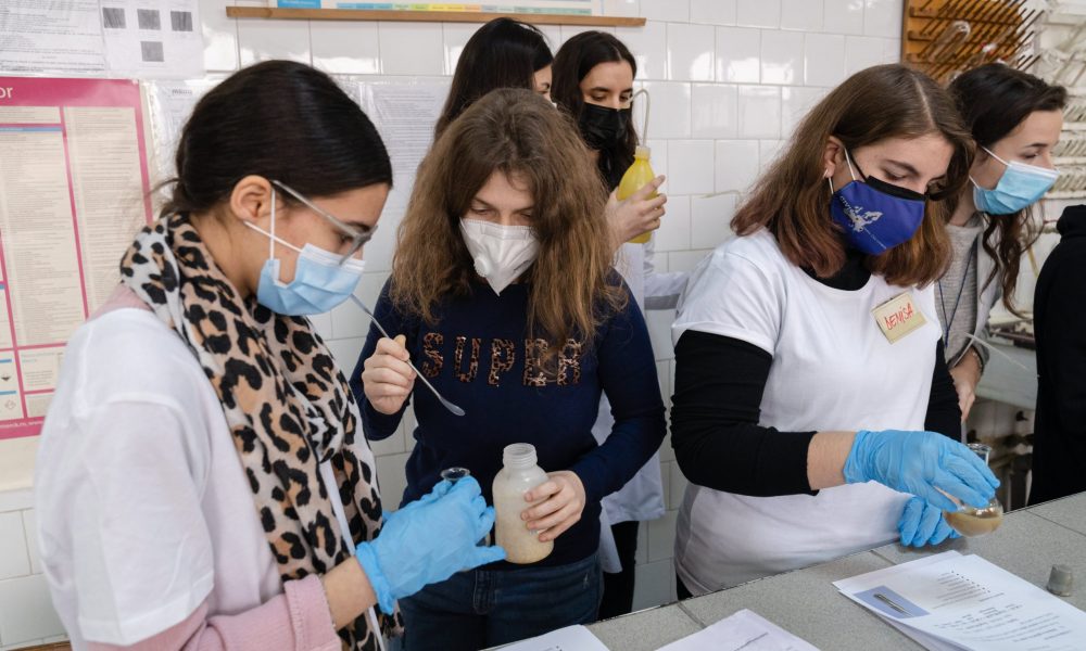 poza 6-Ioana-oglinda de Ag