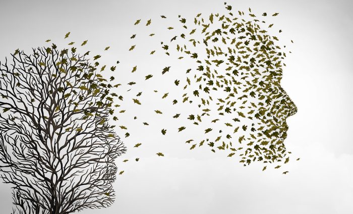 Adela_Toplean_slider