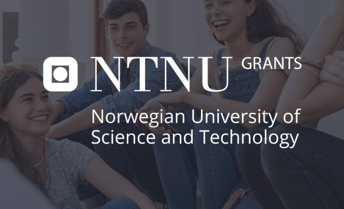 NTNU Grants - STIRE
