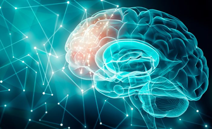 foto știre simpozion neuroștiințe