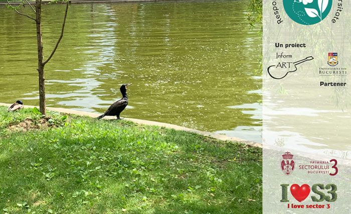 Foto Responsabilitate pentru Biodiversitate S3 (1)