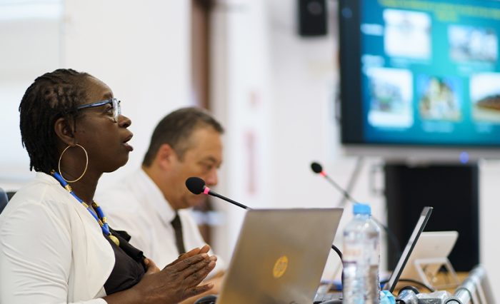 Scoala de vara CIVIS 2022