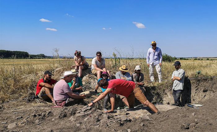 zpd sultana unibuc 2022 editia xix