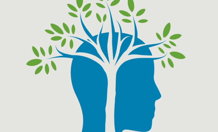 webinar CIVIS stare de bine și sănătate mintală