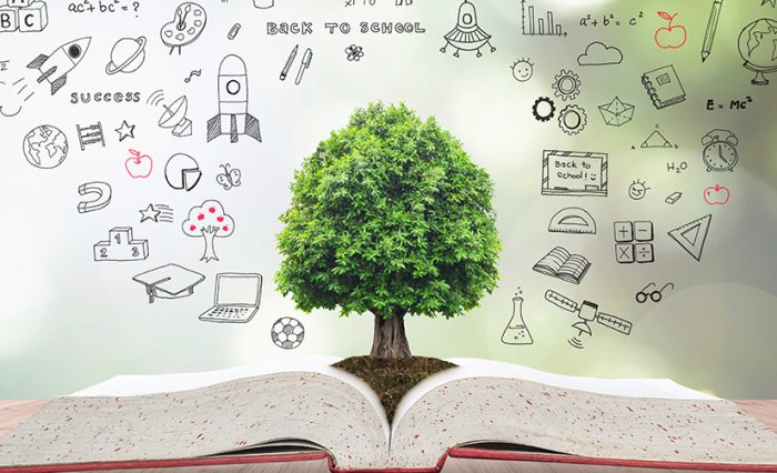 Blended Intensive Programmes_științe naturale și matematică