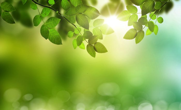 știre Blended Intensive Programmes_mediu