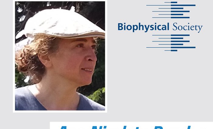 Ana-Nicoleta Bondar_ - STIRE