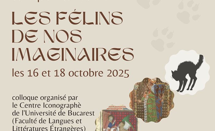 LES FELINS DE NOS IMAGINAIRES - STIRE