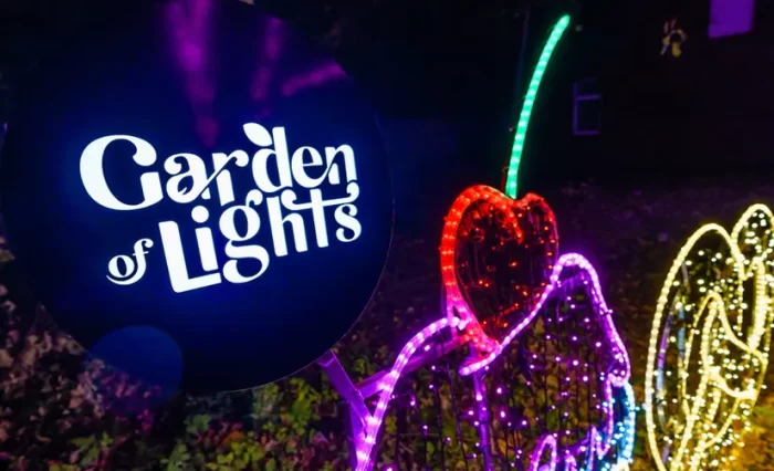 garden of lights universitatea din bucuresti bucharest 130.000 de vizitatori gradina botanica