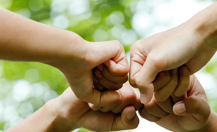 Saptamana verde - stire