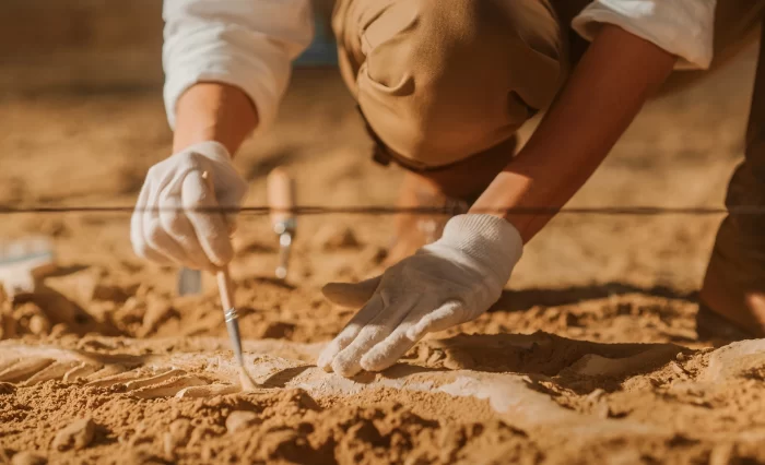 triplu masterat arheologie civis unibuc