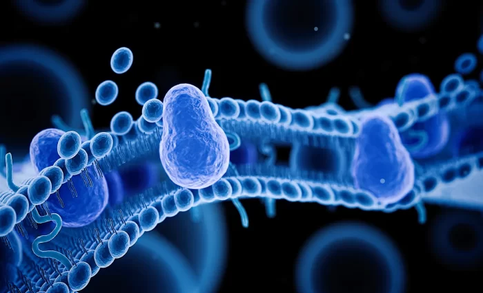 Signatures of GPCR-lipid Interactions stire