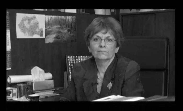 in memoriam dana marinescu unibuc universitatea din bucuresti chimie